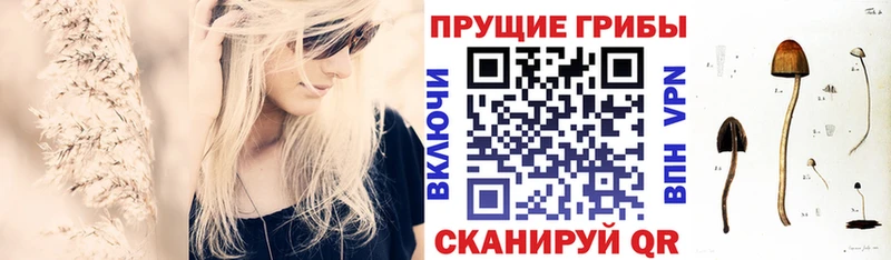 цена наркотик  Нижняя Тура  KRAKEN рабочий сайт  Галлюциногенные грибы MAGIC MUSHROOMS 